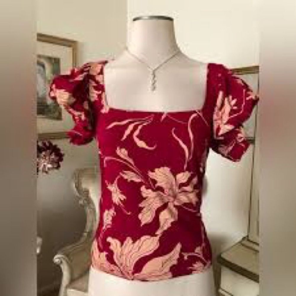 New Express Floral Ruffle Sleeve Top - Red and Cream size XS